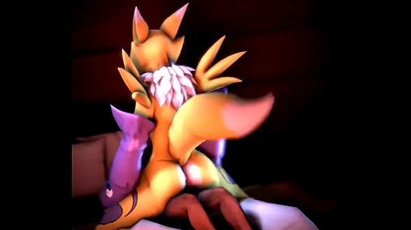 My favorite Renamon Animation
